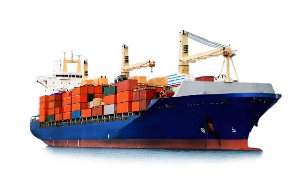 International Vehicle Shipping